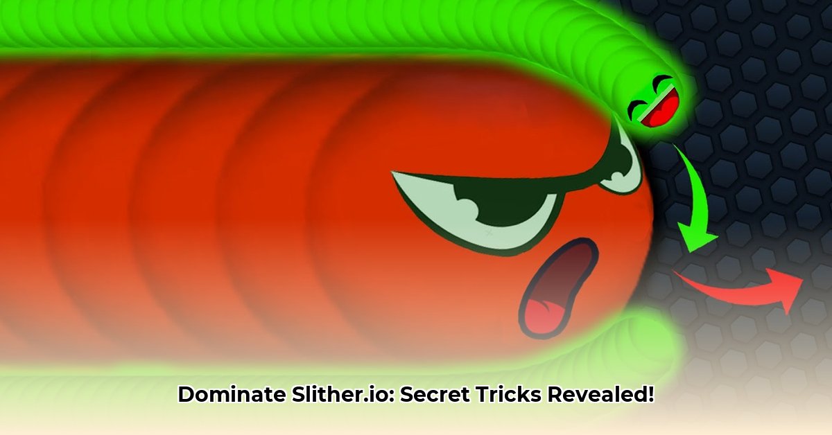crazy-slither-io